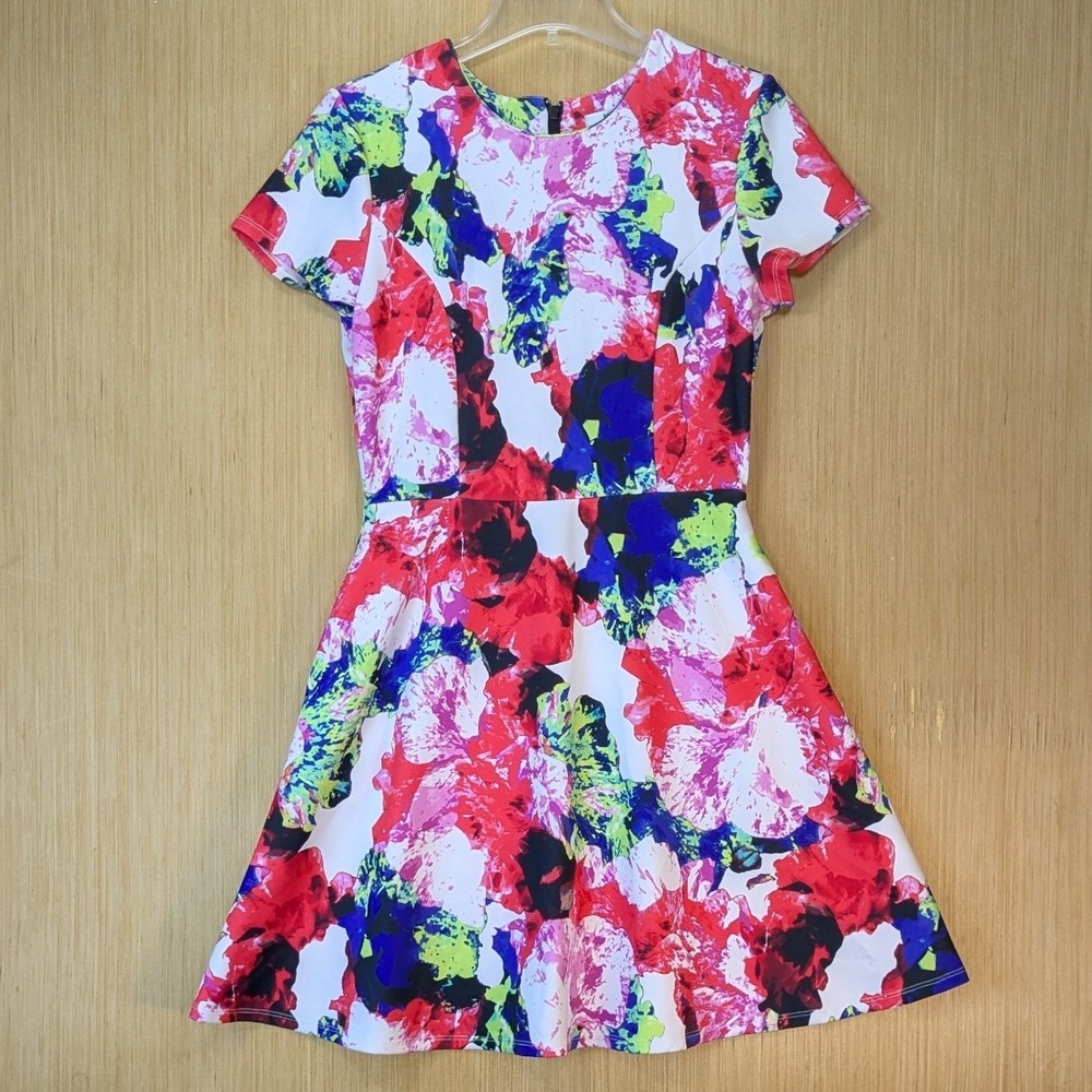 Milly Women's Avant Garde Maximalism Colorful Floral Dress Size 10 Fit And Flare
